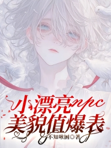 小漂亮npc美貌值爆表