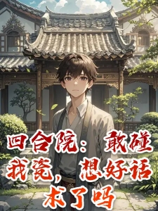 四合院：敢碰我瓷，想好话术了吗